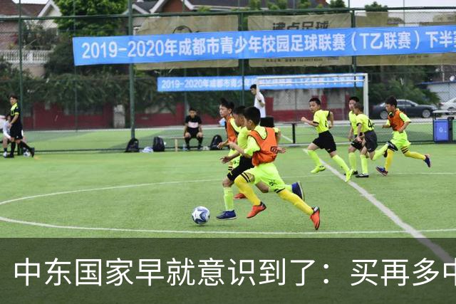 中东国家早就意识到了：买再多中国高端武器，也没办法保护他们