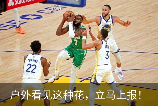 户外看见这种花，立马上报！